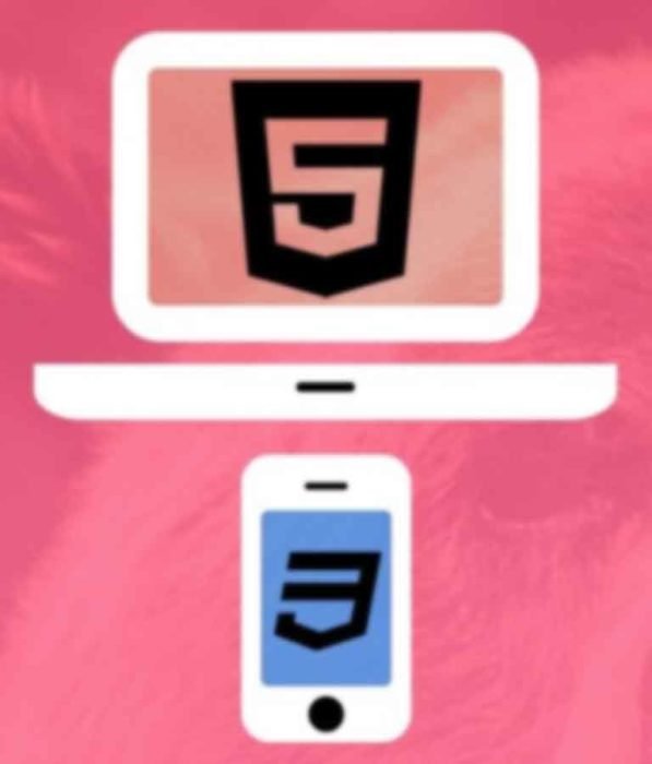 Web Design for Beginners: Real World Coding in HTML & CSS