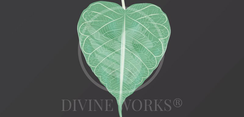 Free Adobe Illustrator Leaf Vector Illustration by Divine Works