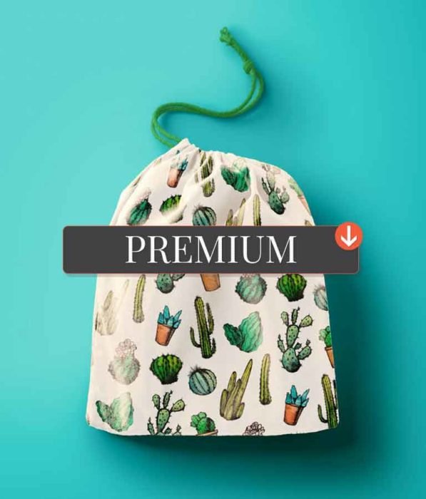 Mexican Cactus Patterns