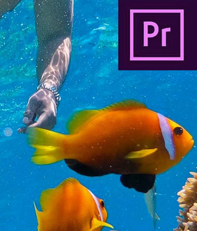 Adobe Premiere CC 2019 - Quick Start Zero To Hero