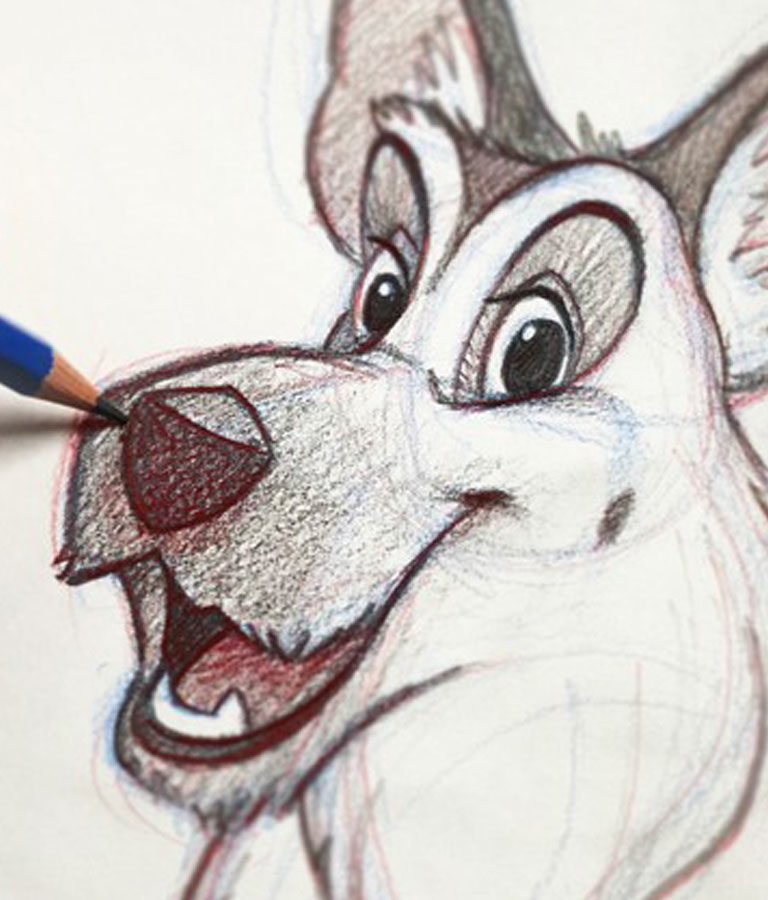 The Ultimate Animal Drawing Course - beginner to advanced