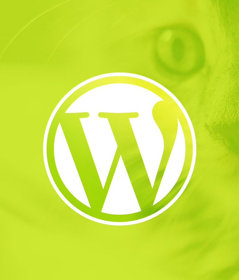 WordPress for Beginners: Create a Website Step by Step