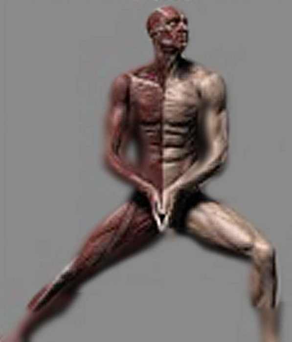 Human Anatomy for Artists using Zbrush and Photoshop