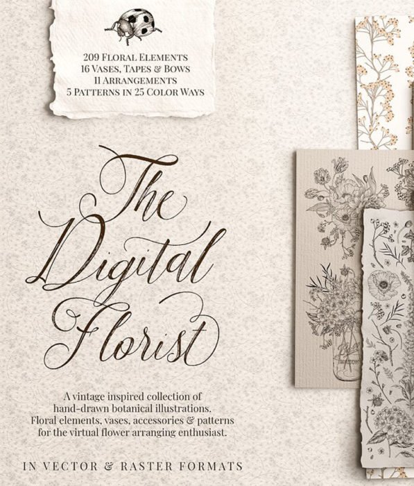 Vintage Botanical Illustrations