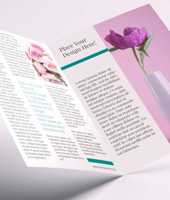 Download Free Open A4 Brochure Mockup by Divine Works