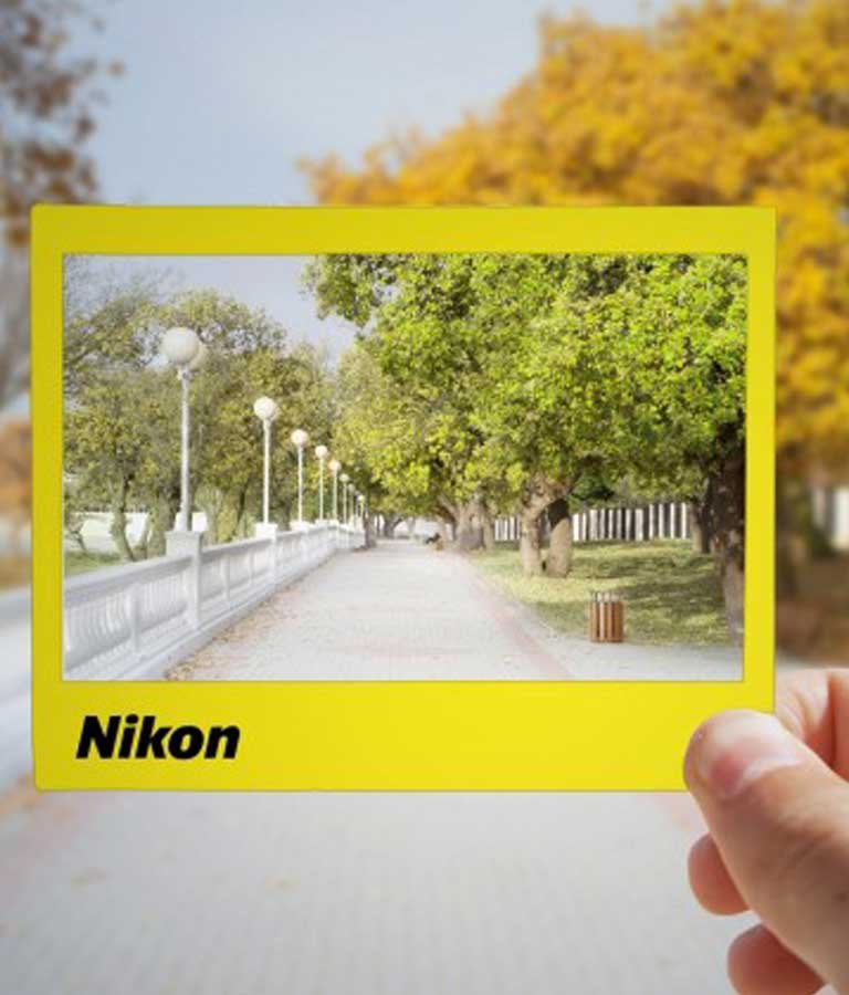 Beginner Nikon Digital SLR (DSLR) Photography