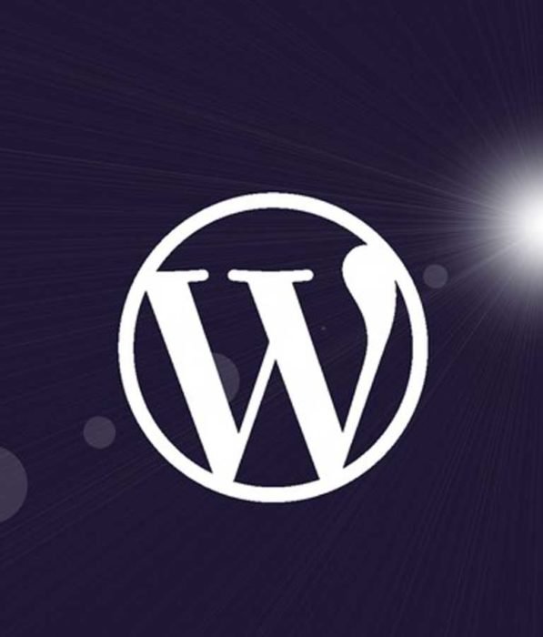 Wordpress for Beginners Master Wordpress Quickly