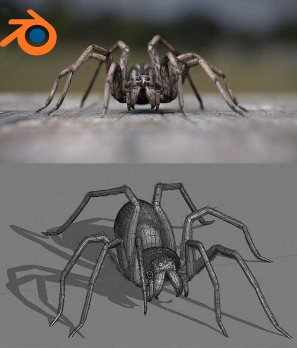 Blender 2.81 - Spiders and insects creation from scratch