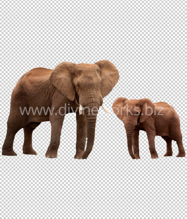 Building Billboard Mockup PSD