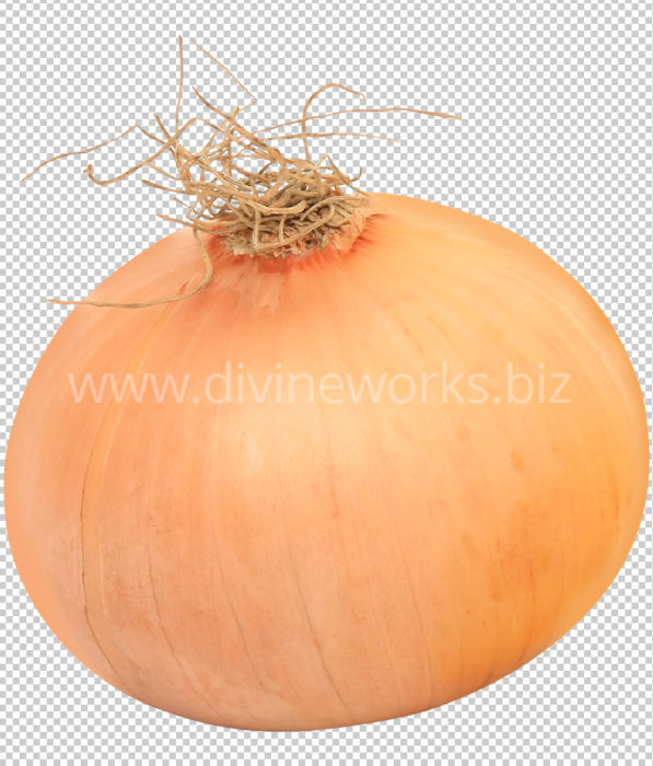 Download Free Onion Vegetable Png by Divine Works