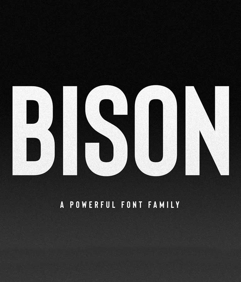 Bison A Powerful Sans Serif