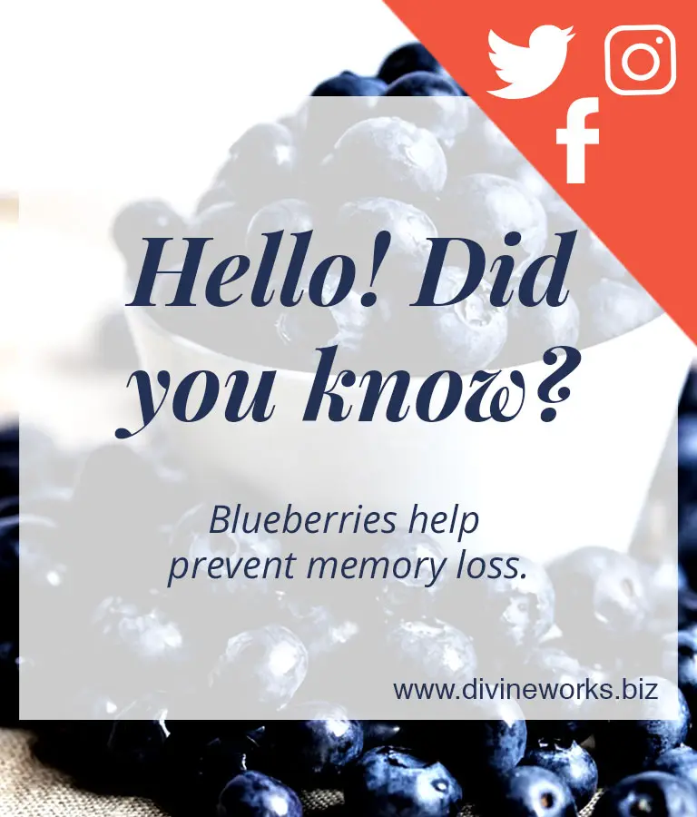 Download Free Blueberry Social Media Template by Divine Works