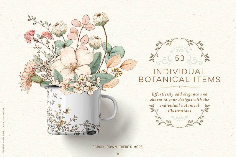 Animal Portraits & flowers