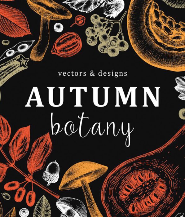 Autumn Botany Vectors & Designs