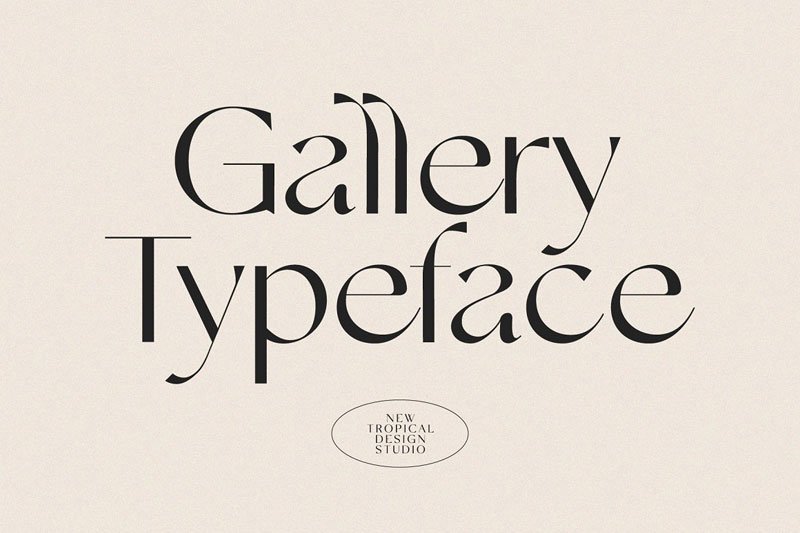 The Modern Font Bundle Vol.3