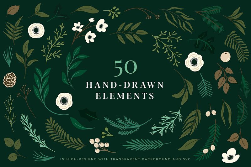 Christmas Botanical Illustrations