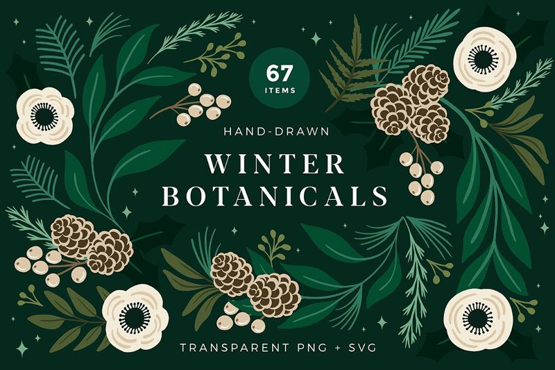 Christmas Botanical Illustrations