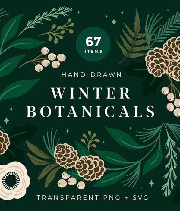 Christmas Botanical Illustrations