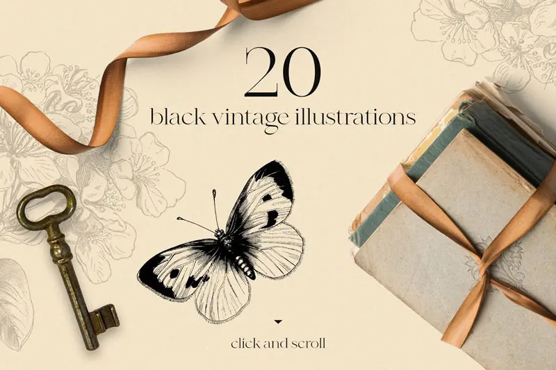 Vintage butterfly modern collection