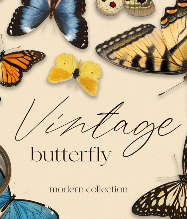 Vintage butterfly modern collection