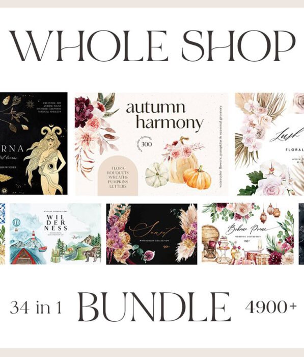 WHOLE SHOP Bundle 4900+ items