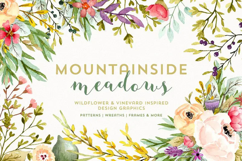 Mountainside Meadows Wildflowers