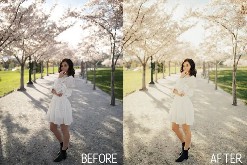 Best Sellers Lightroom Preset Bundle