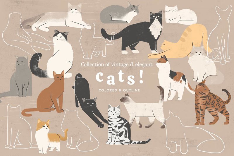 Cats Collection Colored and Outline