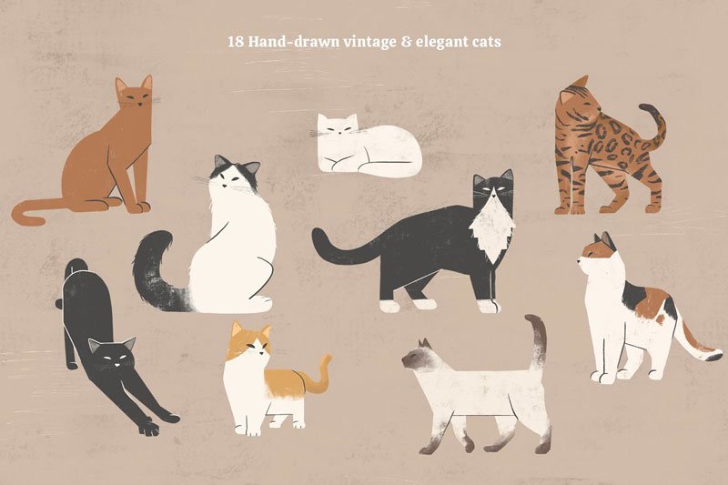 Cats Collection Colored and Outline