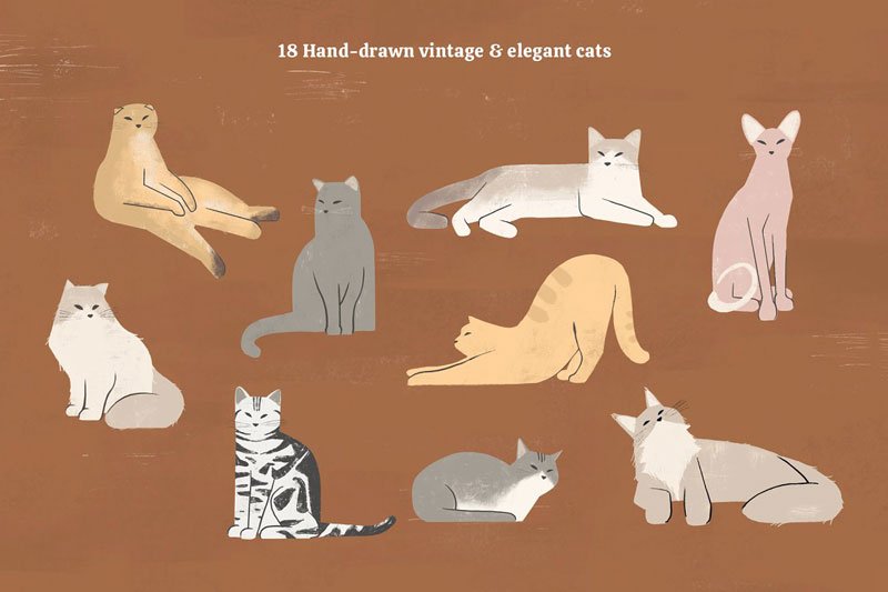 Cats Collection Colored and Outline