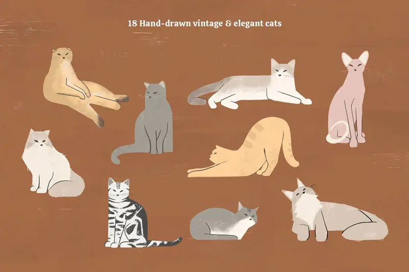 Cats Collection Colored and Outline