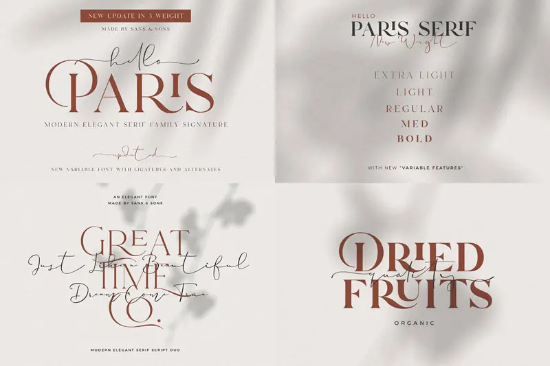 Modern Elegant Font Bundle