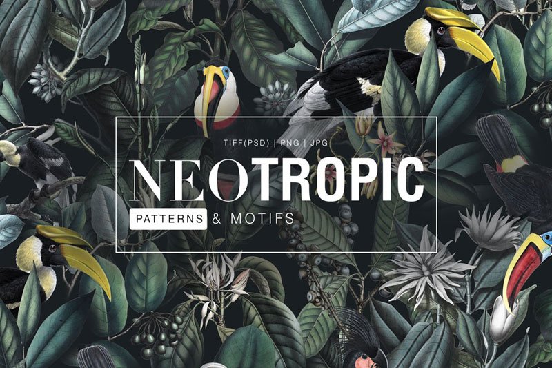 Neotropical, Pattern & Motifs