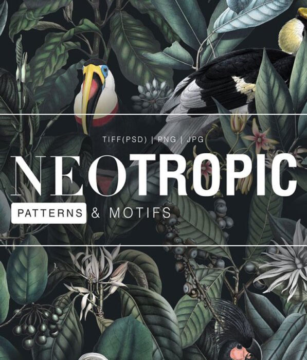 Neotropical, Pattern & Motifs