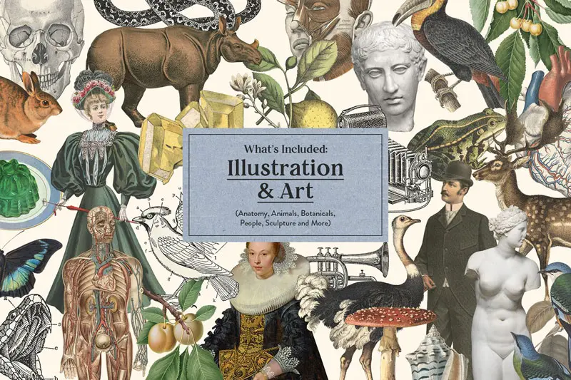 Vintage Collage Creator 750+ Assets