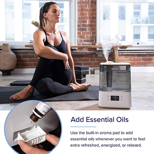 Levoit Humidifiers for Bedroom