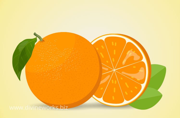 Download Free Orange Fruit Vector by Divine Works