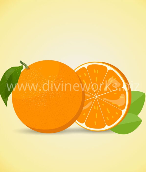 Download Free Orange Fruit Vector by Divine Works