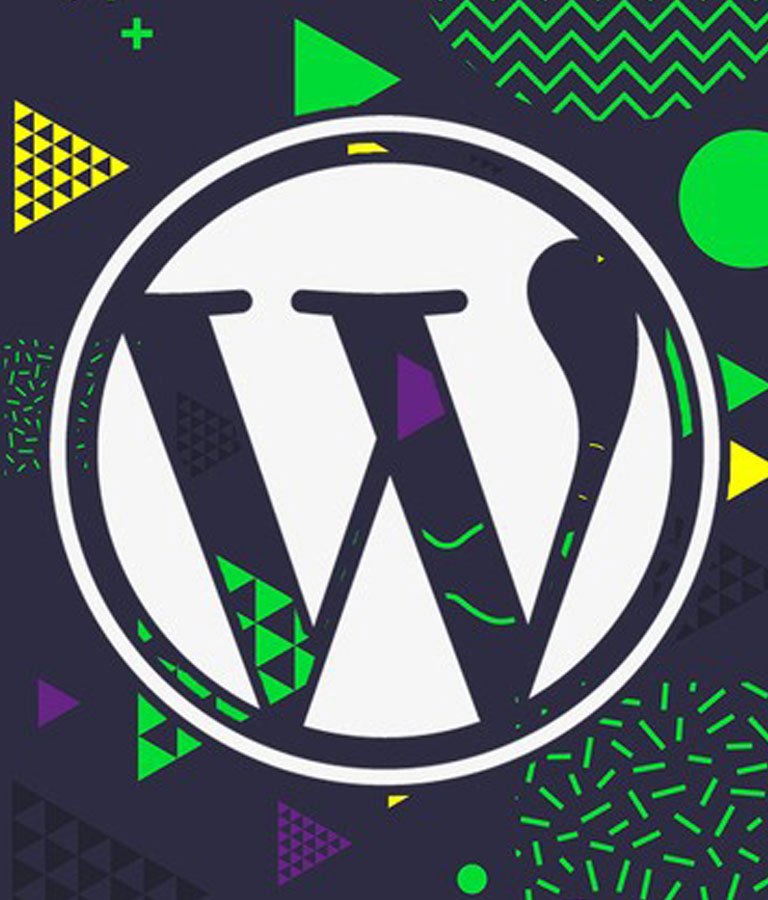 The Complete Guide to Building Premium WordPress Themes