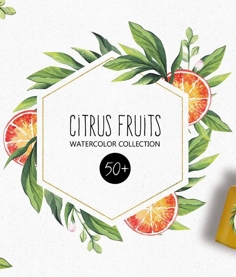 CITRUS FRUITS