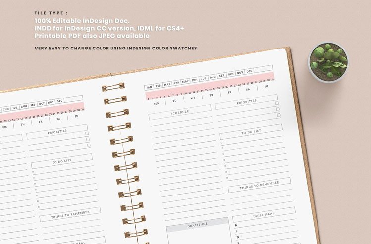 Editable Daily Planner Template