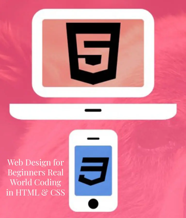 Web Design for Beginners Real World Coding in HTML & CSS