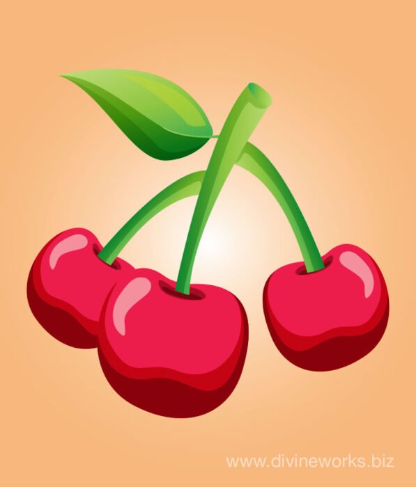 Cherry Fruit Vector Illustration