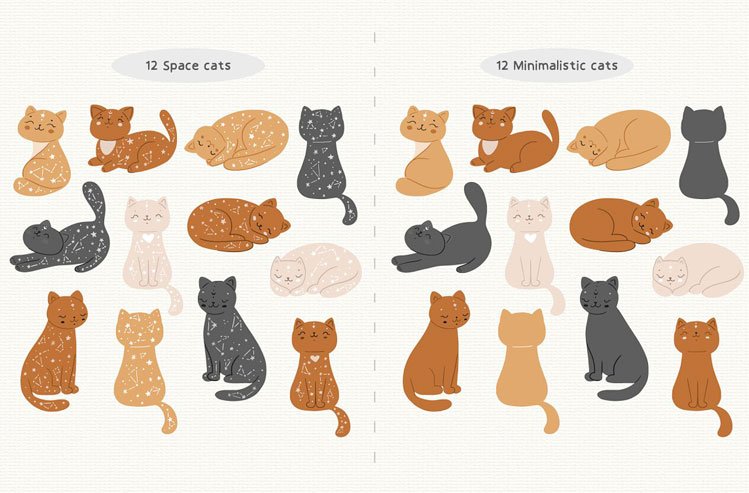 Magic Boho Cats / Baby Animal Set