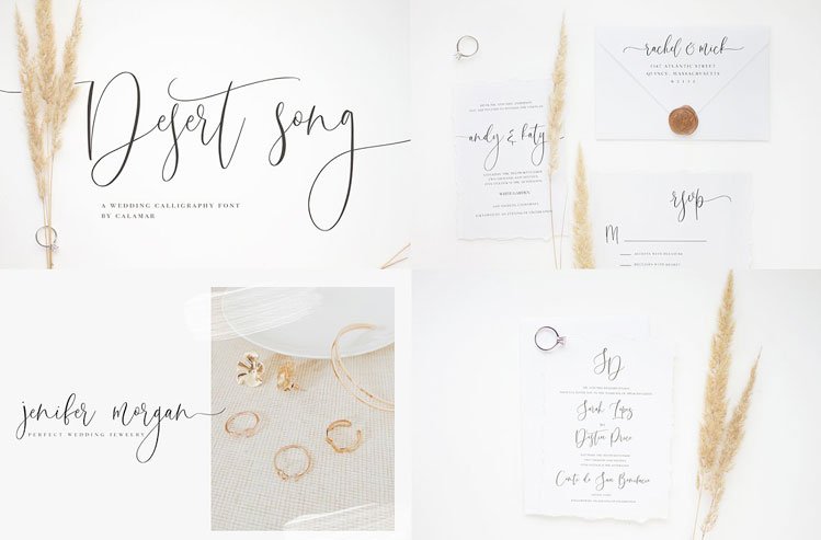 Modern Calligraphy Font Bundle
