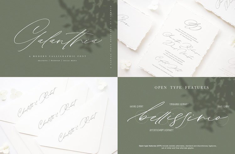 Modern Calligraphy Font Bundle