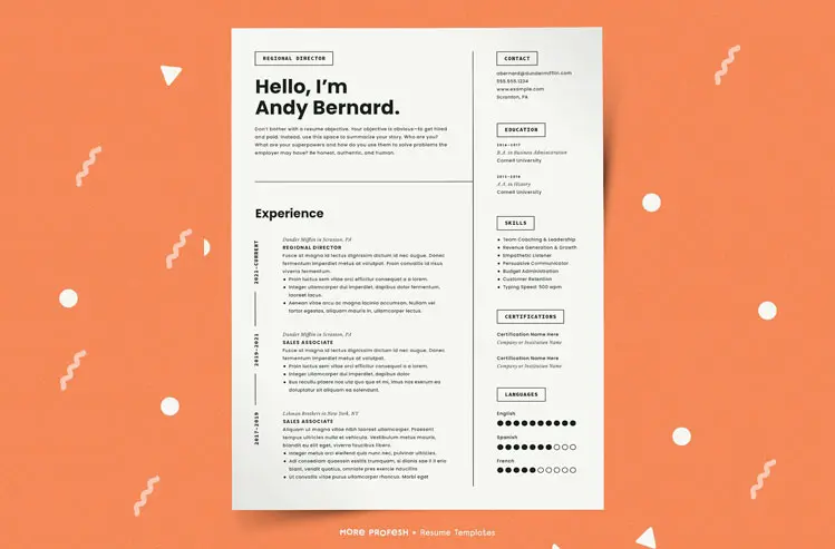 Modern Resume Template CV