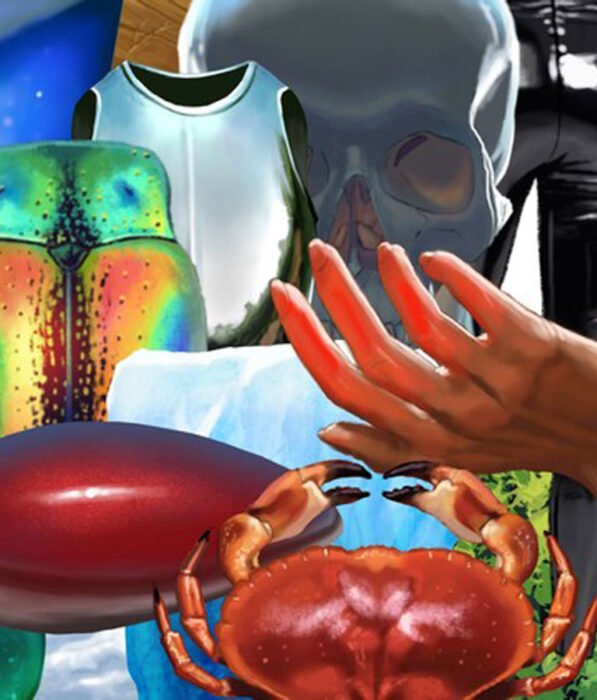 The Ultimate Guide to Digitally Painting Everything