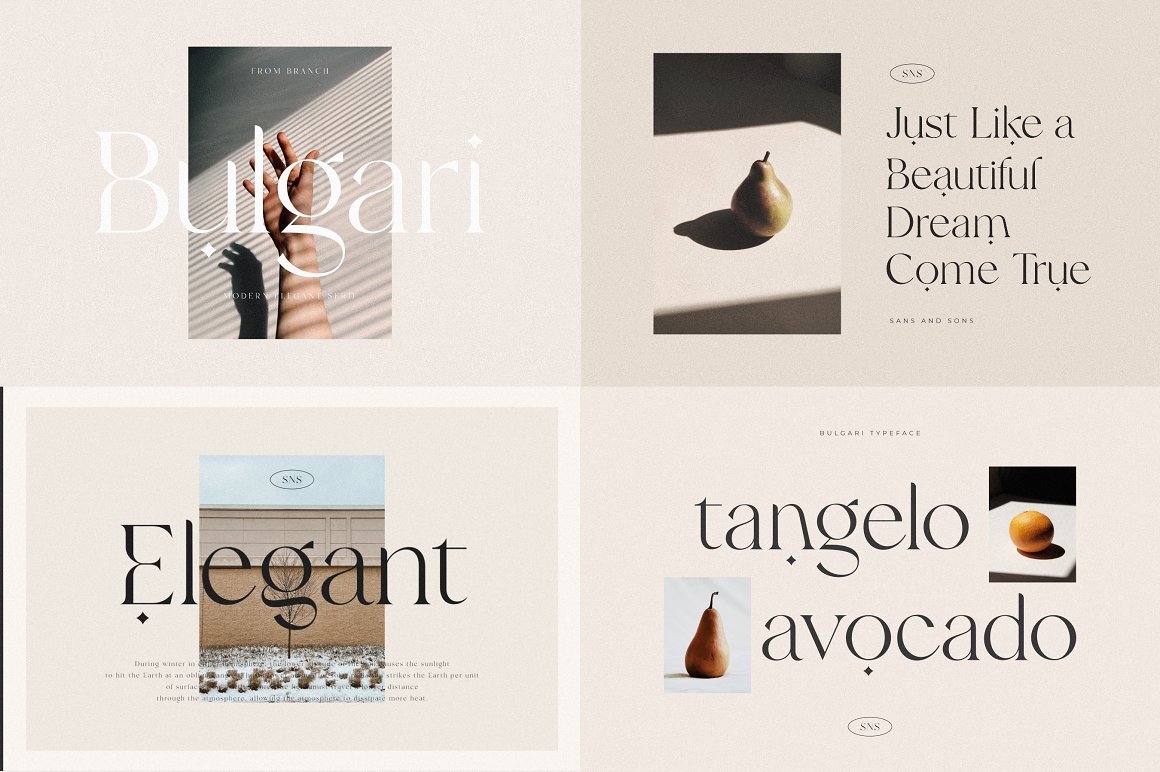 Modern Elegant Font Bundle