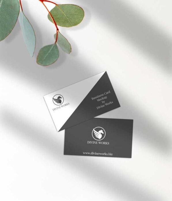Business Card Mockup